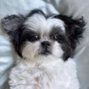 Anya_072010