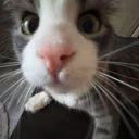 Sswwq00