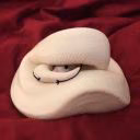 Beautiful_snake_666