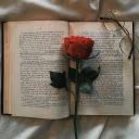 allforstorieslove