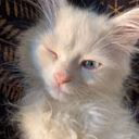 Andreeva1111