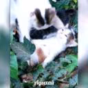 userdead000
