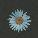 SofiaA1606