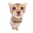 classsniy_cheelik