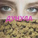 Adolfik_1488