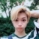 idolbsh