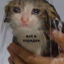my_disabilityes