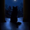 Emilia_Wolf_