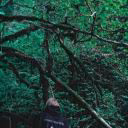 an_wxxp