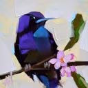 -blue-Hummingbird-