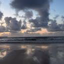 Meadow_fllowers25