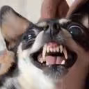 Mooooddd