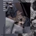 comet_lolle