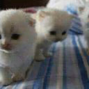 sweetyway