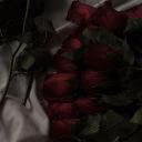 Svet_Lana_5748