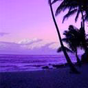 user27307874