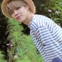 ParkJiminKris