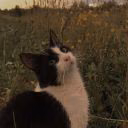 misskrisulya