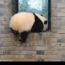 0panda_0
