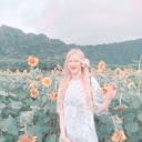 sunflowerlipa