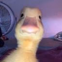 _lizaaaa_
