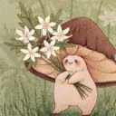 kotkompote