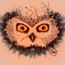 owl0804