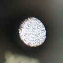 bl0OmBerry228