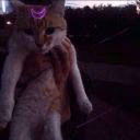blak__kat