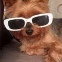 mops8932