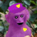 Purple_Makaka11037