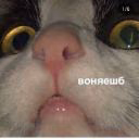 Bendin_Kumber