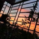 vvladdda