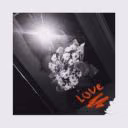 black_rose_4