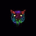 syflopa