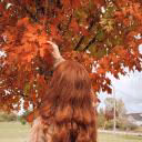 aless_rom