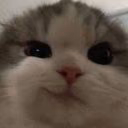 Umka_qWq