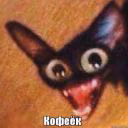 Niko2712