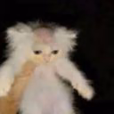 dhjsksbhhusk