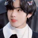 user65578655