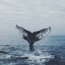 moon_0_1