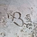 Alexis367