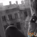 alika20845