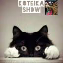 KoteikaYT