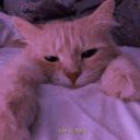 Mia_Crouch