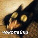 user_dolbaeb