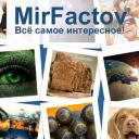 MirFactov
