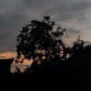 rekky_48