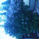 user721623472600