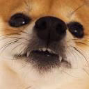 olga_sh_face